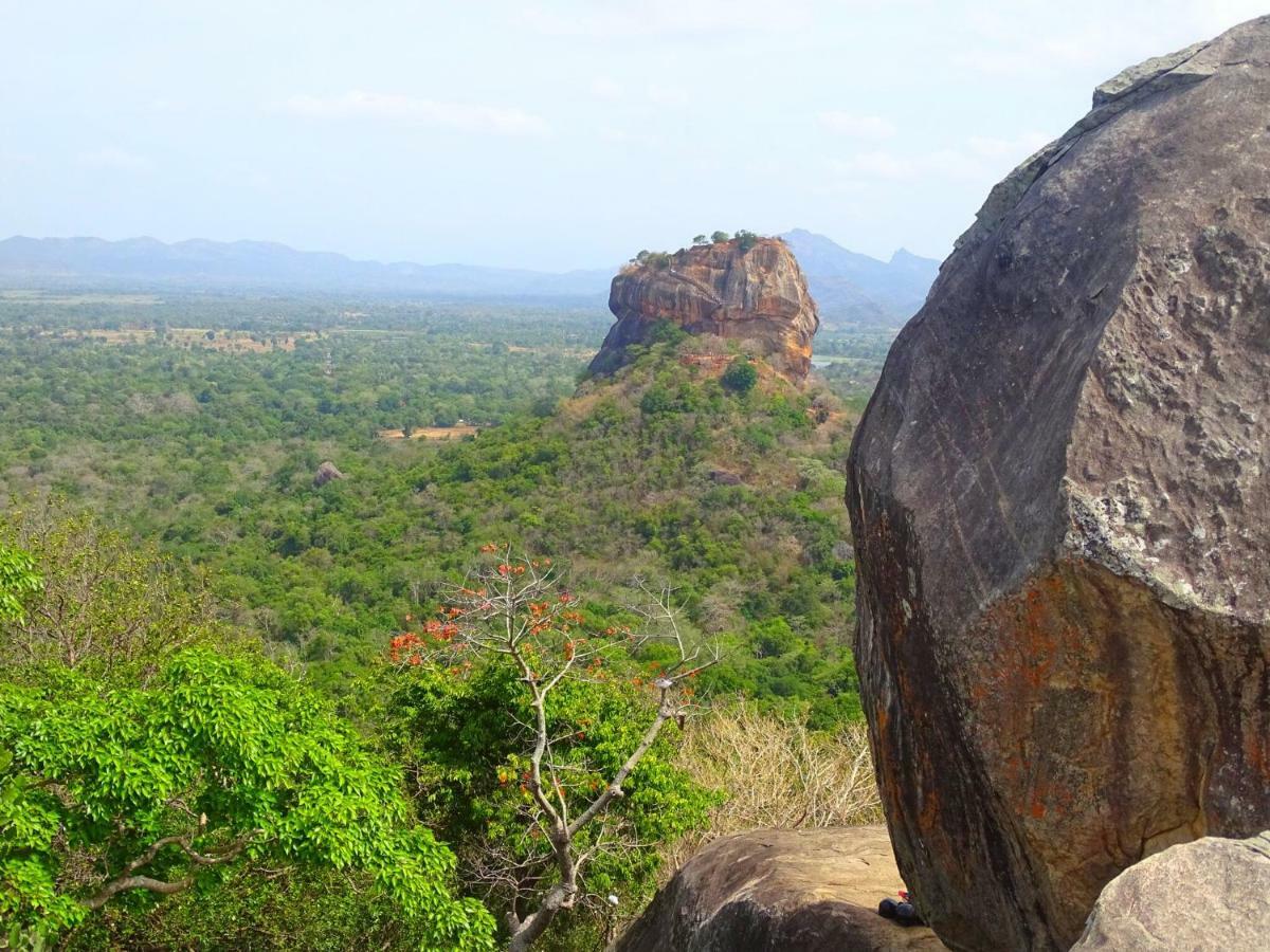 Greenwood Hotel Sigiriya Exterior foto