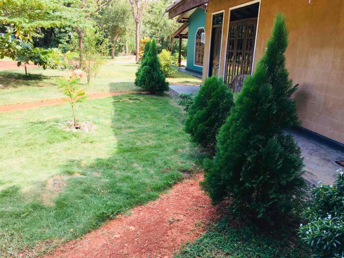 Greenwood Hotel Sigiriya Exterior foto